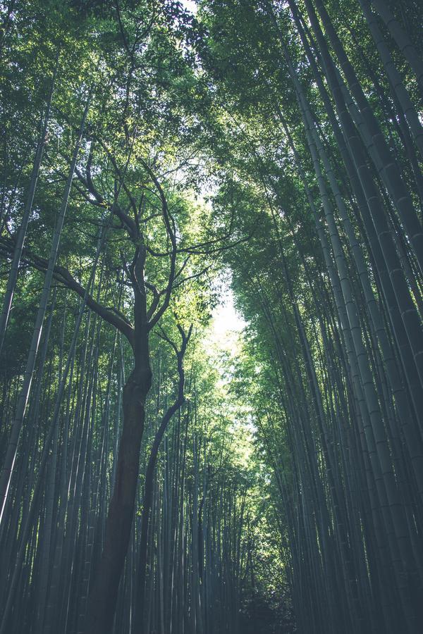 Shirakabanoyado-Taisho Villa Ōsaka Eksteriør bilde